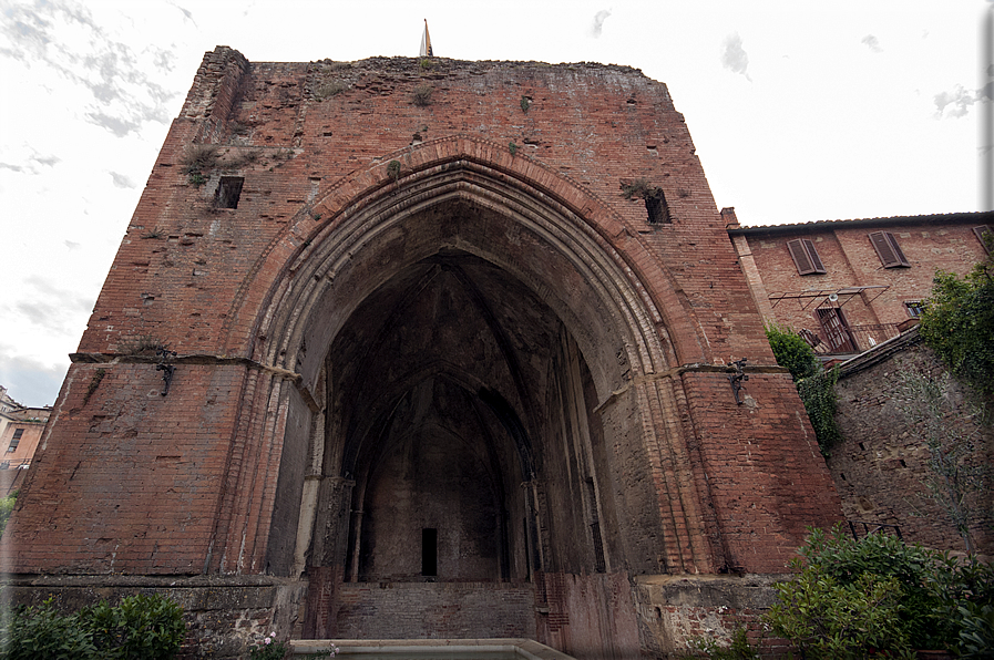 foto Siena